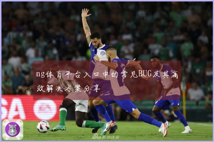 ng体育平台入口中的常见BUG及其高效解决方案分享