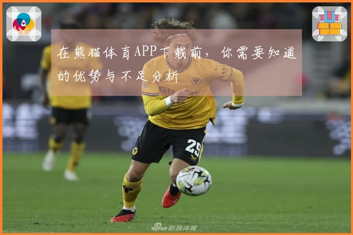 在熊猫体育APP下载前，你需要知道的优势与不足分析