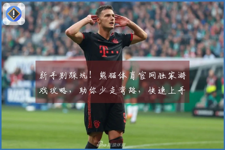 新手别踩坑！熊猫体育官网独家游戏攻略，助你少走弯路，快速上手